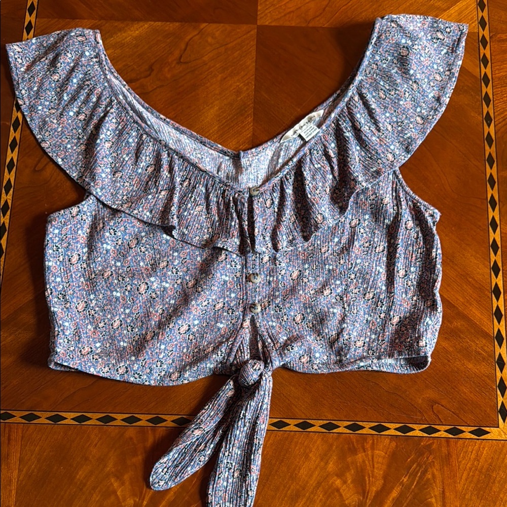 American Eagle Outfitters Blue Ruffled Sleeveless Crop Blouse